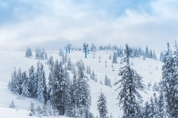 Harika Bir Kış Dağı Manzarası Karla Kaplı Köknar Ağaçları Güzel — Stok fotoğraf