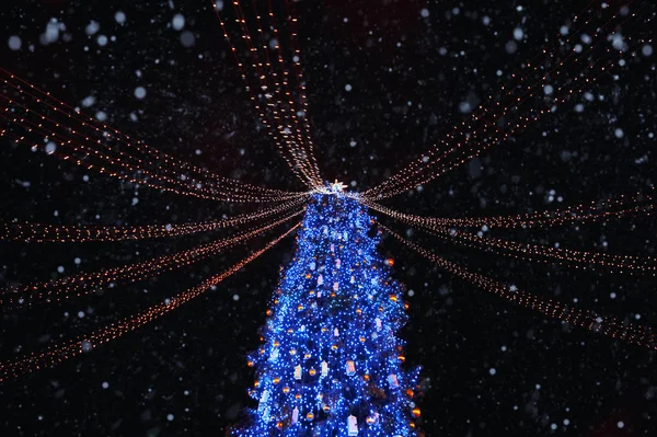 Albero di Natale decorato con luci di notte. Kiev, Ucraina — Foto Stock