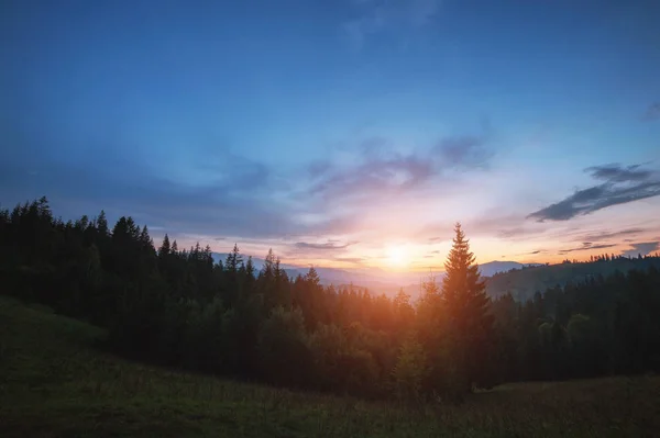 Natural background with mountains and tree silhouette on sunset. — Stock Photo, Image