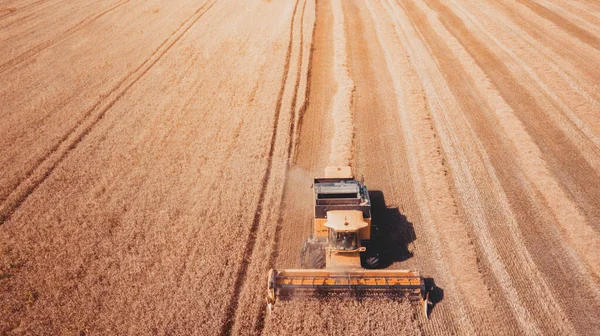 空中からの眺め近代的な農業機械トラクターの収穫小麦畑 季節ごとの作品 ドローンが撃たれた テキストのためのスペースを持つ画像 上から見た農地 — ストック写真