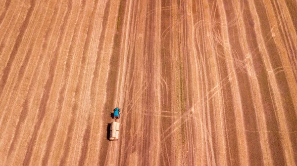Letecký Pohled Moderní Zemědělské Vybavení Stroje Traktor Sklízí Pšeničné Pole — Stock fotografie