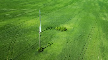 Çim tarlasının havadan görünüşü. Doğal yeşil yaz arkaplanı. İHA atışı. Yukarıdan gelen tarlalar