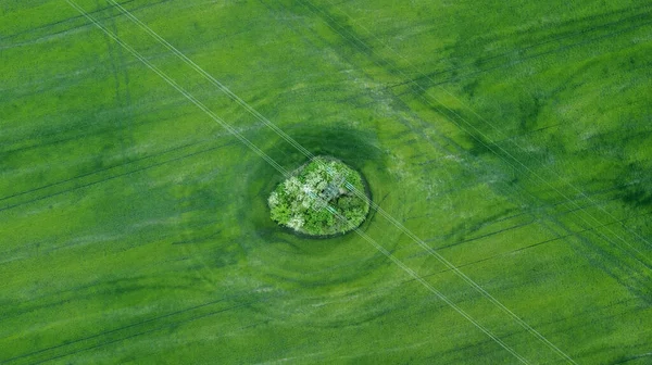 Воздушный Вид Травяного Поля Естественный Зеленый Весенний Летний Фон Беспилотник — стоковое фото