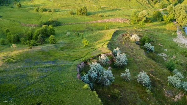 Luchtlandschap Bij Zonsopgang Natuurlijke Zomerse Achtergrond Drone Schot — Stockfoto