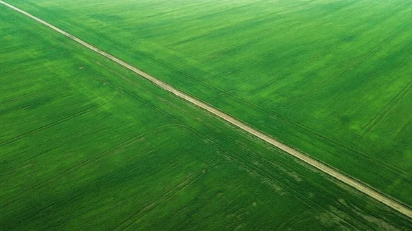 Luftaufnahme Des Rasenfeldes Natürliche Grüne Frühling Sommer Hintergrund Drohnenschuss Ackerland — Stockfoto