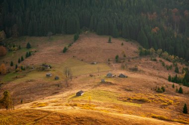 Dağlarda güzel bir altın sonbahar. Doğal arka plan. Sonbahar manzarası