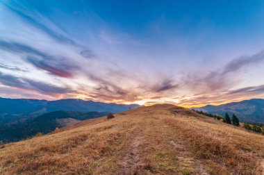 Dağlarda güzel bir altın sonbahar. Kırsal yol. Doğal arka plan. Sonbahar manzarası
