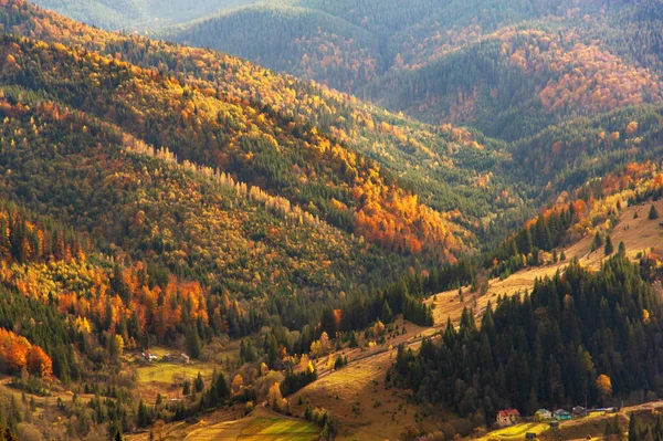 Bel Automne Doré Dans Les Montagnes Fond Naturel Paysage Automne — Photo