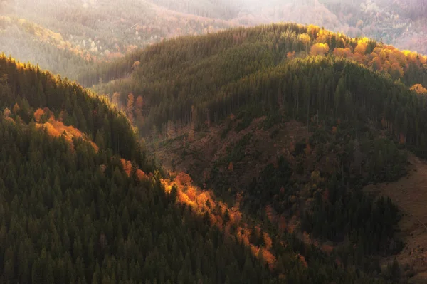 Vacker Gyllene Höst Bergen Naturlig Bakgrund Höst Landskap — Stockfoto