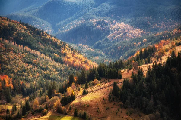 Krásný Zlatý Podzim Horách Přírodní Pozadí Podzimní Krajina — Stock fotografie