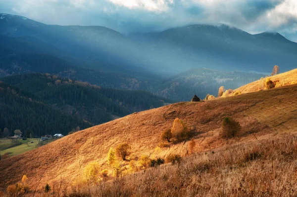 Bel Automne Doré Dans Les Montagnes Fond Naturel Paysage Automne — Photo