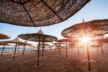 Egzotik tatil beldesinde kumlu denizde (okyanus) saman şemsiyeler. Yaz manzarası