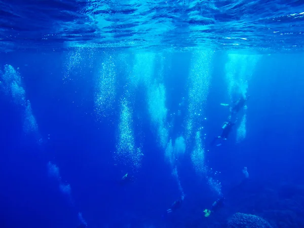 Gruppe Von Tauchern Die Unter Wasser Schwimmen Sommerkonzept — Stockfoto