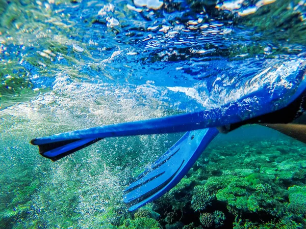 紅海の底のカラフルなサンゴとエキゾチックな魚です 美しい自然夏の背景 — ストック写真