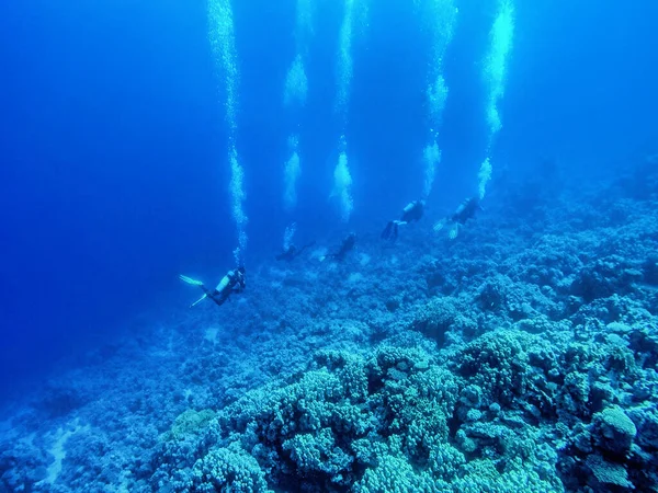 Grupo Buceadores Nadando Bajo Agua Concepto Verano — Foto de Stock