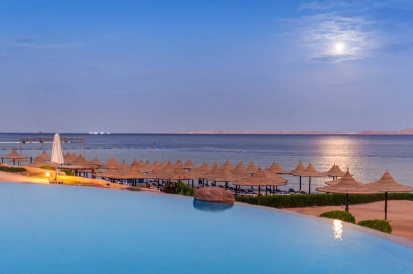 Open Pool Shores Exotic Ocean Reflection Palm Trees Water Summer — Stock Photo, Image