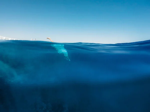 青い深海に潜る 夏のコンセプト — ストック写真