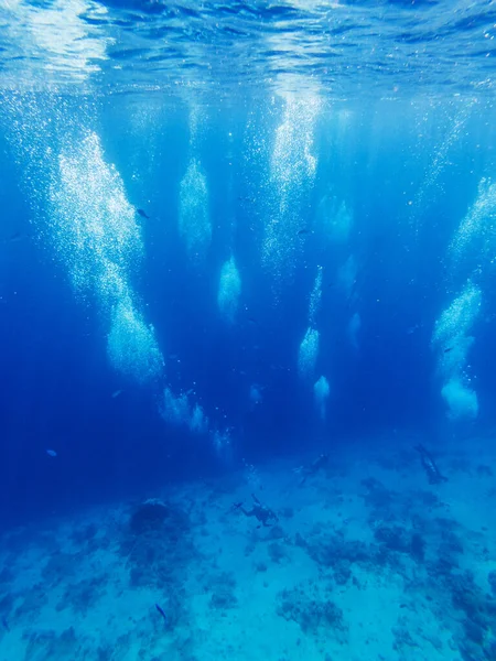 Группа Водолазов Плавающих Водой Летний Фон — стоковое фото