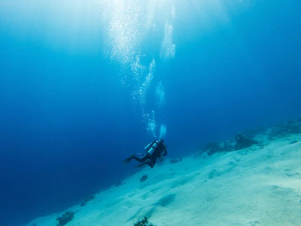 Groupe Plongeurs Sous Marins Nageant Sous Eau Concept Été — Photo