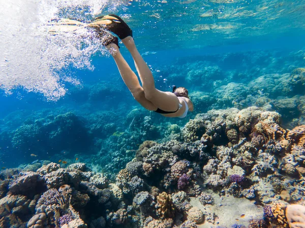 Girl Freediver Dives Sea — Stock Photo, Image