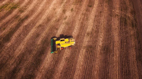 現代の農業機器機械トラクター収穫小麦畑 季節ごとの作品 ドローンが撃たれた テキストのためのスペースを持つ画像 上から見た農地 — ストック写真