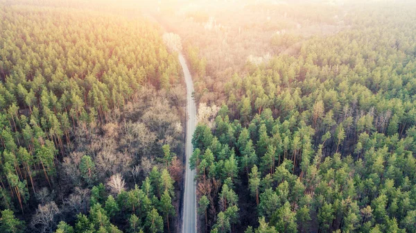 Droga Powietrzna Pustej Drogi Zielonym Lesie Strzał Drona — Zdjęcie stockowe