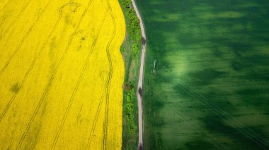 Sarı kolza tohumu, yeşil buğday tarlaları ve kırsal yolun ortasındaki hava manzarası. Doğal Bahar Bavkground. İHA atışı