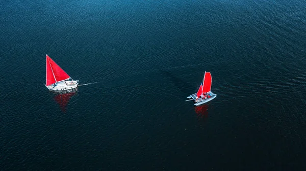 aerial shot of sailing yachts floating in beautiful blue ocean
