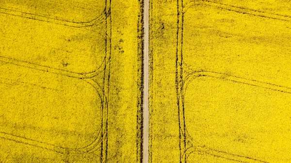 Luftaufnahme Eines Rapsfeldes Und Einer Landstraße Der Mitte Natürliche Gelbe — Stockfoto