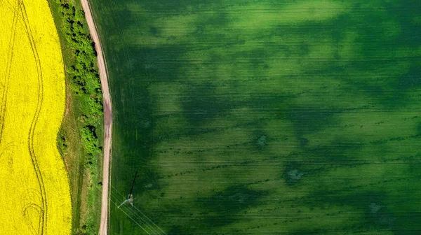 Luchtfoto Van Gele Koolzaad Groene Tarwevelden Landelijke Weg Het Midden — Stockfoto