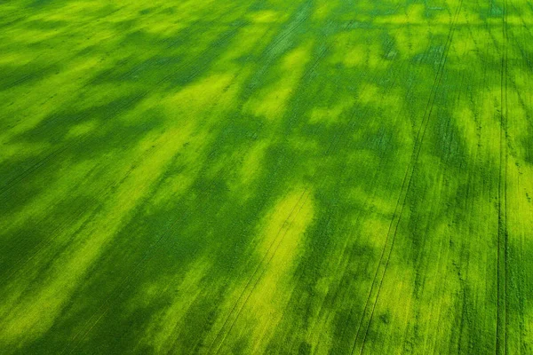 Letecký Pohled Travnaté Pole Přírodní Zelené Jaro Letní Pozadí Výstřel — Stock fotografie