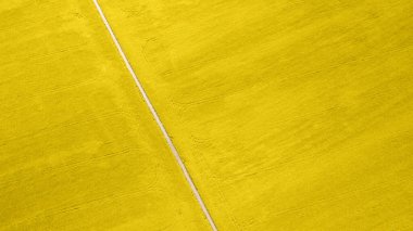 Ortadaki kırsal yol ve kolza tohumu tarlasının hava görüntüsü. Doğal sarı bahar yaz arkaplanı. İHA atışı. Yukarıdan gelen tarlalar
