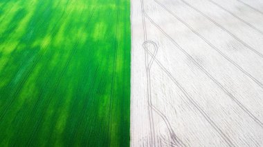 Çim tarlasının havadan görünüşü. Doğal yeşil yaz arkaplanı. İHA atışı