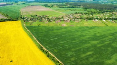 Sarı kolza tohumu, yeşil buğday tarlaları ve kırsal yolun ortasındaki hava manzarası. Doğal bahar arka planı. İHA atışı. Yukarıdan gelen tarlalar