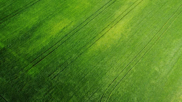 Luchtfoto Van Grasveld Natuurlijke Groene Lente Zomer Achtergrond Een Drone — Stockfoto