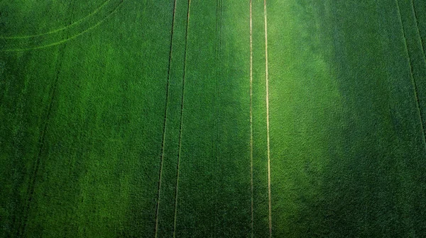 Flygfoto Över Gräsfältet Naturlig Grön Vår Sommar Bakgrund Ett Drönarskott — Stockfoto
