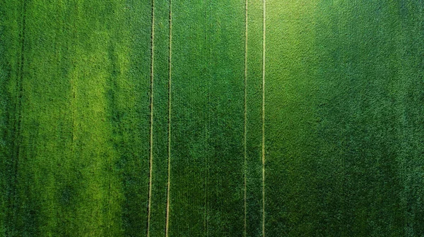 Повітряний Вид Трав Яне Поле Природний Зелений Весняний Літній Фон — стокове фото