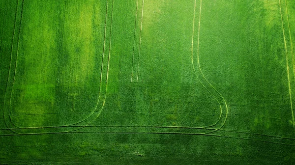 Повітряний Вид Трав Яне Поле Природний Зелений Весняний Літній Фон — стокове фото