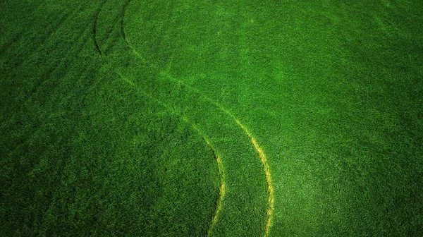 Vista Aerea Del Campo Erba Strada Rurale Incredibile Verde Naturale — Foto Stock