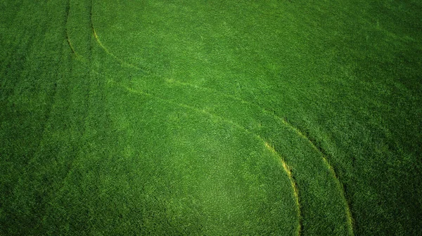 Luftaufnahme Von Grasfeld Und Landstraße Natürliche Grüne Frühling Sommer Hintergrund — Stockfoto