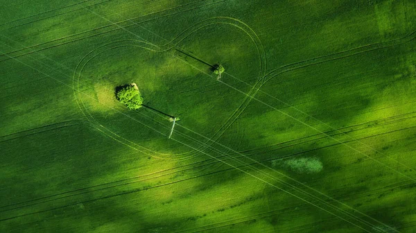 Vue Aérienne Champ Herbe Naturel Incroyable Romantique Vert Printemps Été — Photo