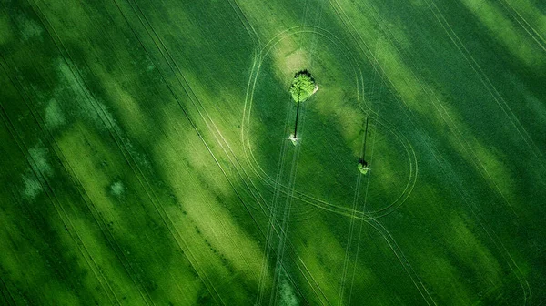 Letecký Pohled Travnaté Pole Přírodní Úžasné Romantické Zelené Jaro Letní — Stock fotografie