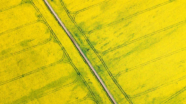 Luftaufnahme Des Grünen Und Gelben Rapsfelddorfes Horizont Natürliche Frühling Sommer — Stockfoto
