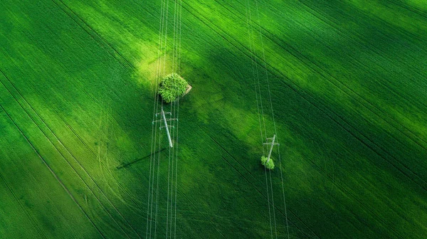Luchtfoto Van Grasveld Natuurlijke Verbazingwekkende Romantische Groene Lente Zomer Achtergrond — Stockfoto