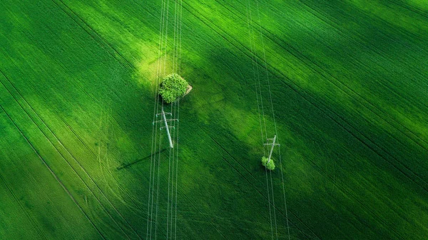 Vue Aérienne Champ Herbe Naturel Incroyable Romantique Vert Printemps Été — Photo