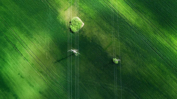 Luchtfoto Van Grasveld Natuurlijke Verbazingwekkende Romantische Groene Lente Zomer Achtergrond — Stockfoto