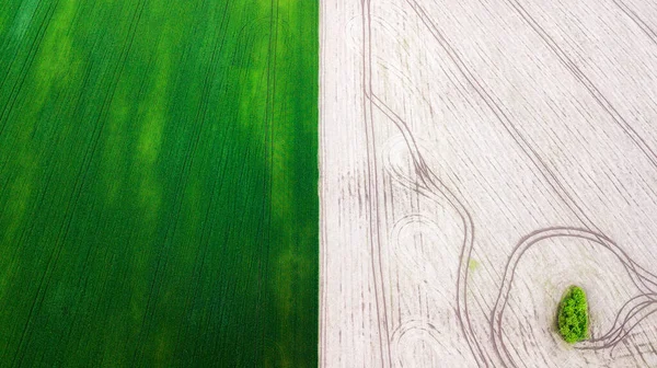 Luftaufnahme Des Rasenfeldes Natürliche Grüne Frühling Sommer Hintergrund Drohnenschuss — Stockfoto