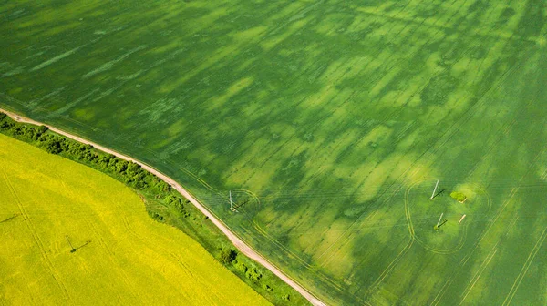 Luftaufnahme Von Gelben Raps Und Grünen Weizenfeldern Und Einer Landstraße — Stockfoto