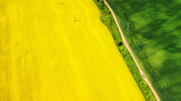 Luchtfoto Van Gele Koolzaad Groene Tarwevelden Landelijke Weg Het Midden — Stockfoto