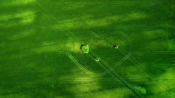 Vista Aérea Del Campo Hierba Natural Increíble Romántico Verde Primavera — Foto de Stock